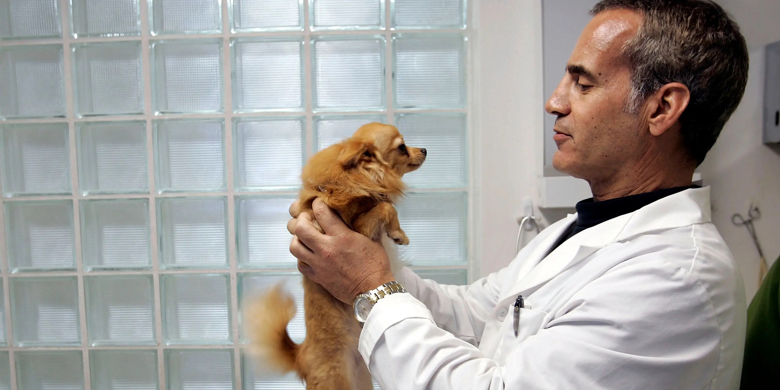 HighestPaying Nondesk Jobs in US Business Insider