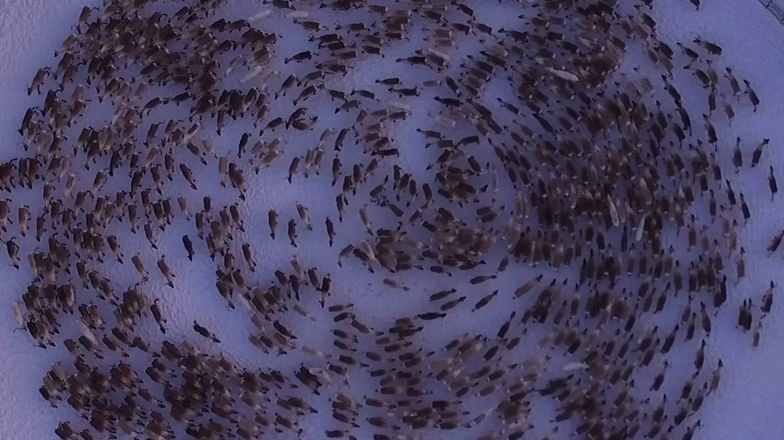 Kitty Litter Caused One of the Most Expensive US Nuclear Mishaps Ever