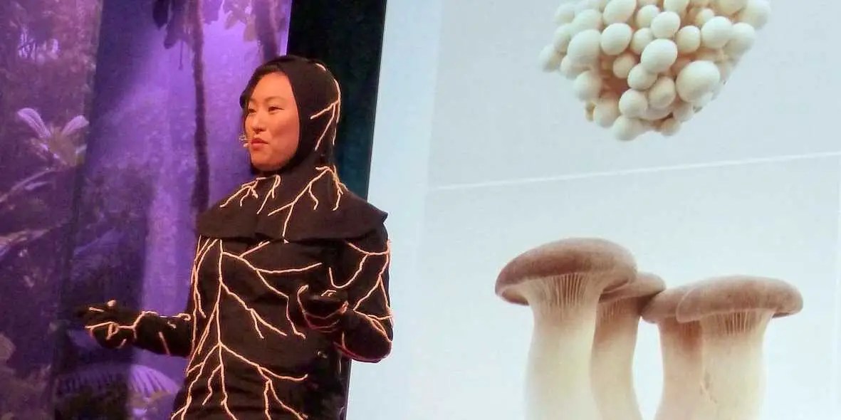 These Mushrooms Eat Your Flesh When You Die