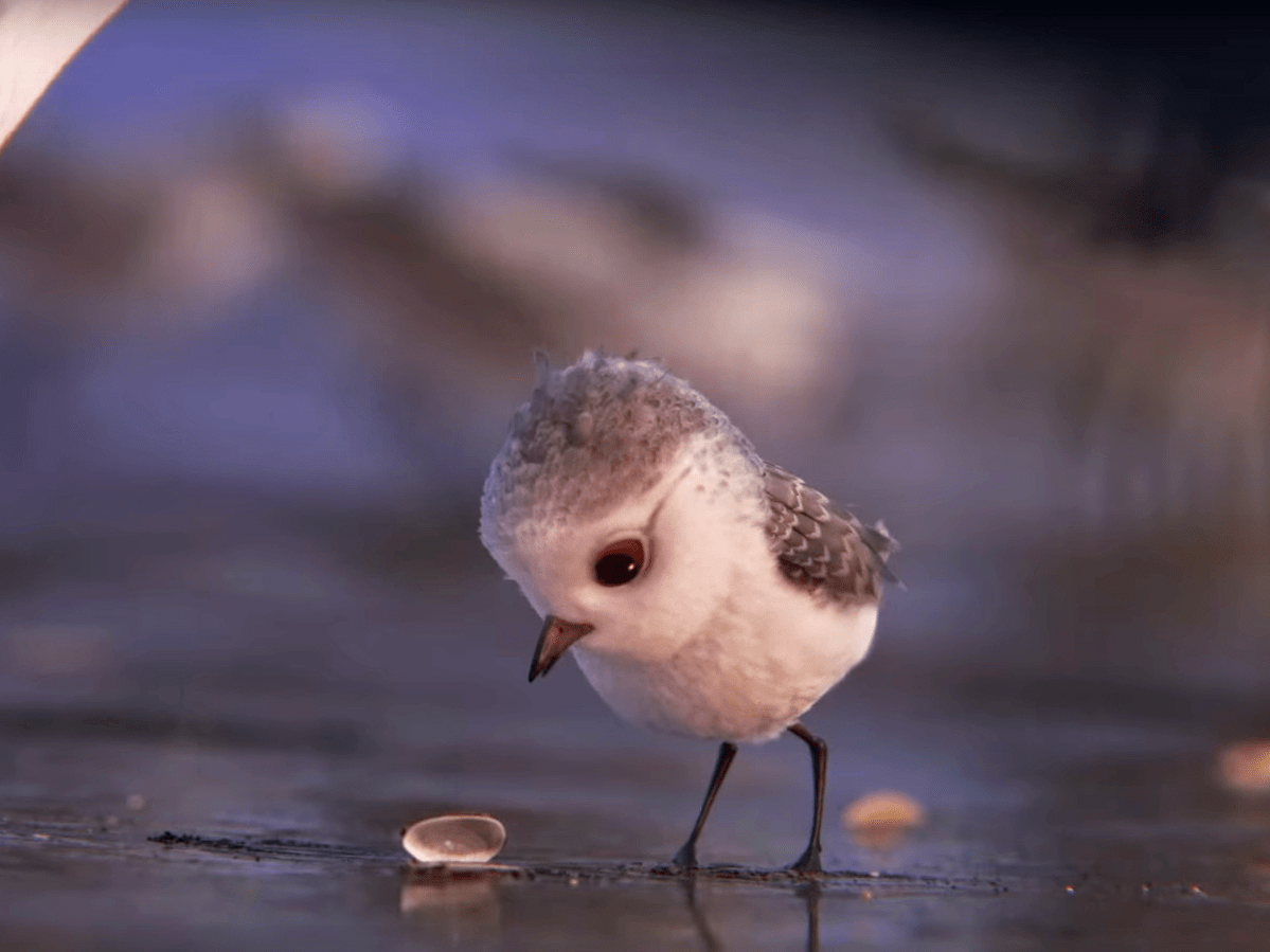 exemple jambon tarte piper disney short film Spectacle Renaissance