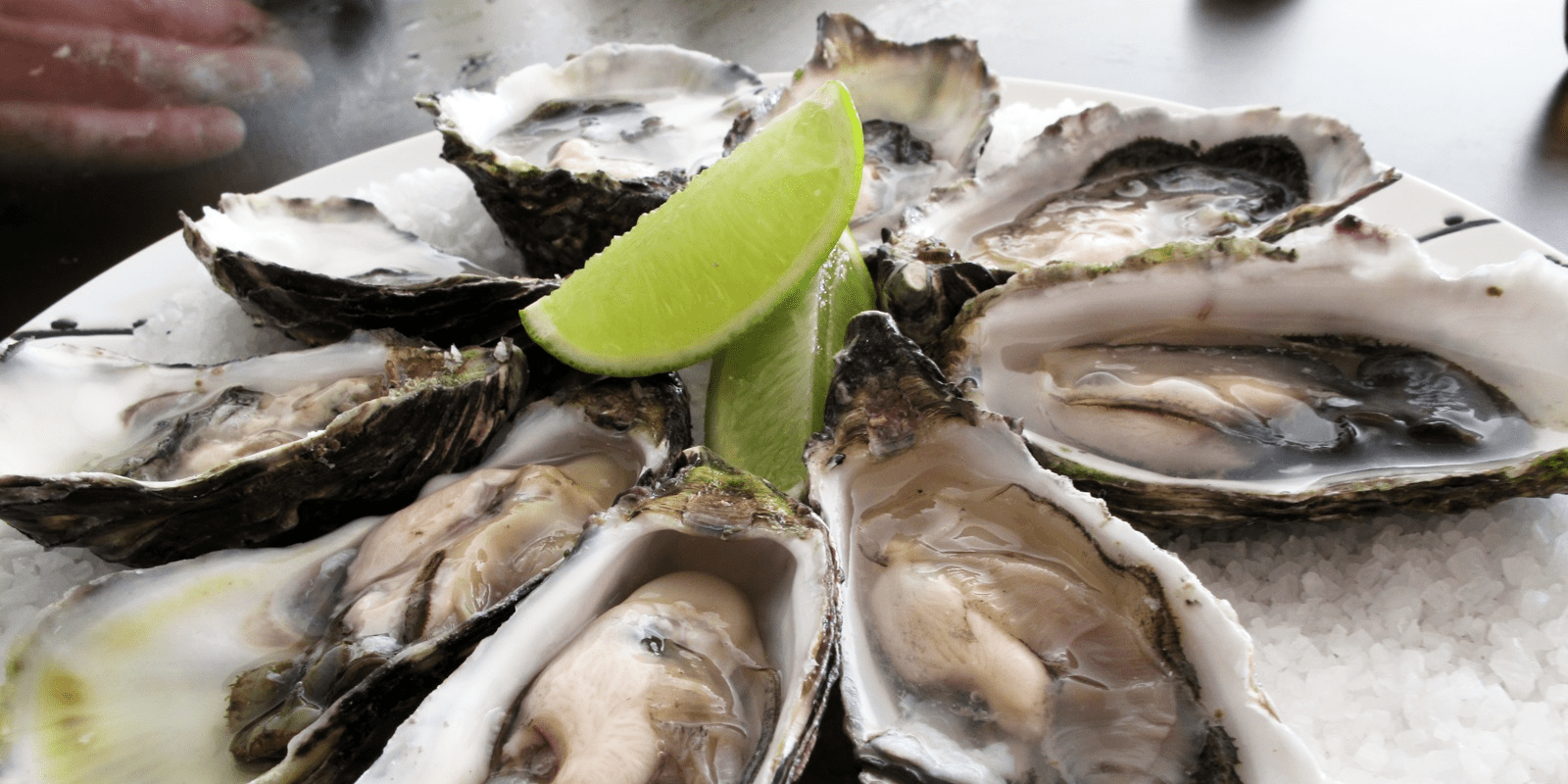 Oysters Are Alive When Served Business Insider