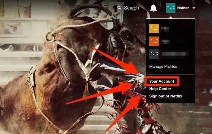 How to See Everything You've Watched on Netflix