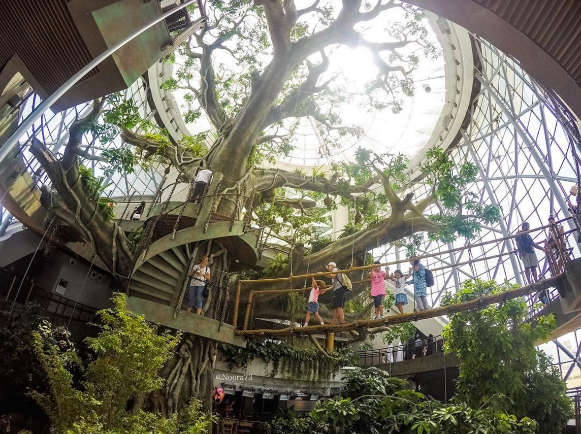 Indoor Rainforest in Dubai Opens With World's Largest Artificial Tree
