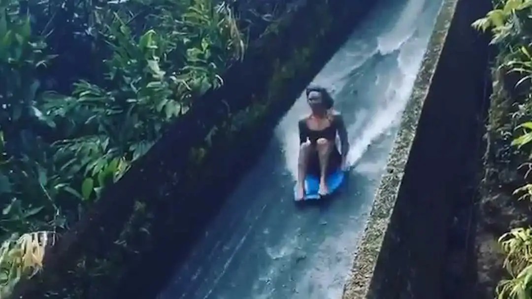 Deadly Bugs and Snakes in 'Jungles' Episode of