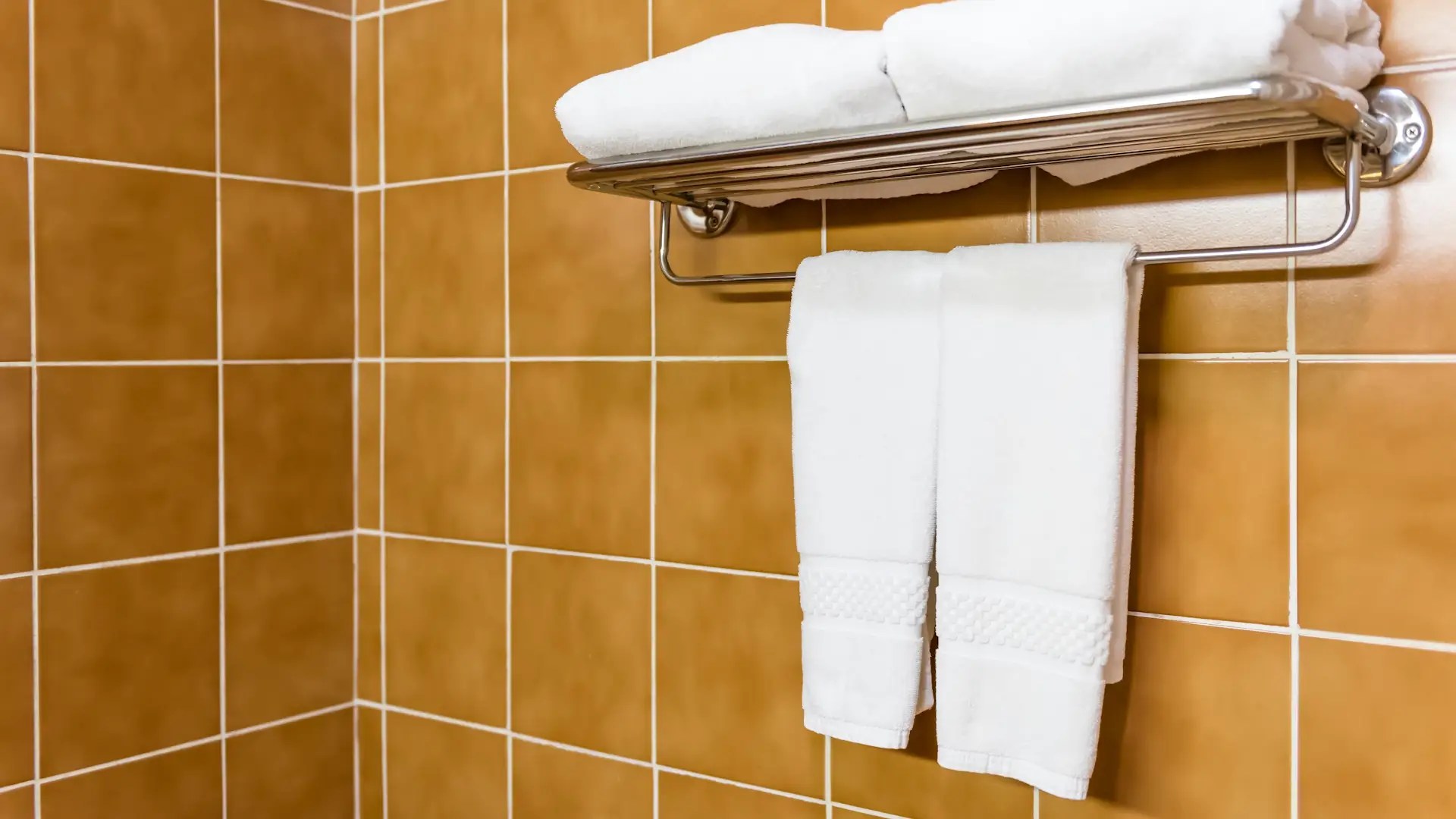 How Often Should You Shower? the Science Behind Why You Shouldn't Shower Daily