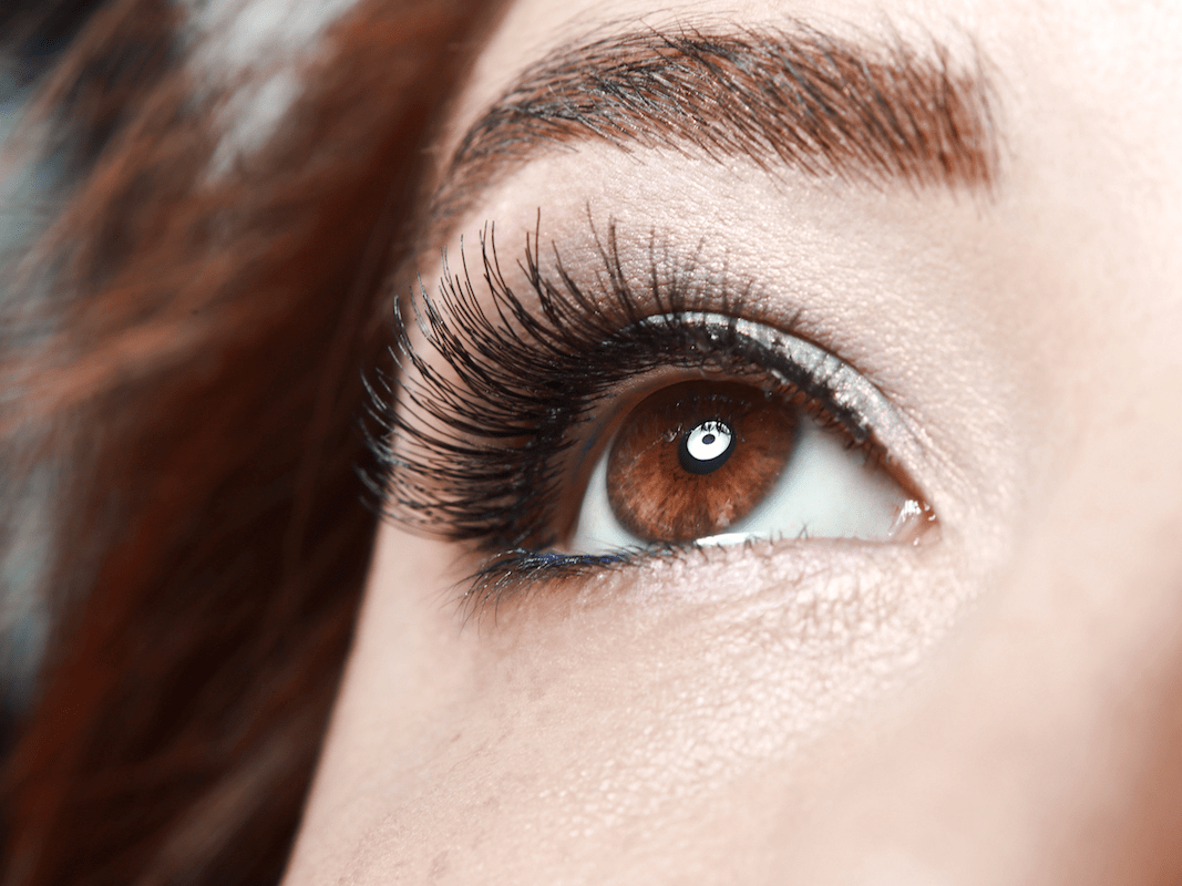 Prep Scholar Gate Bugs That Live In Eyelashes