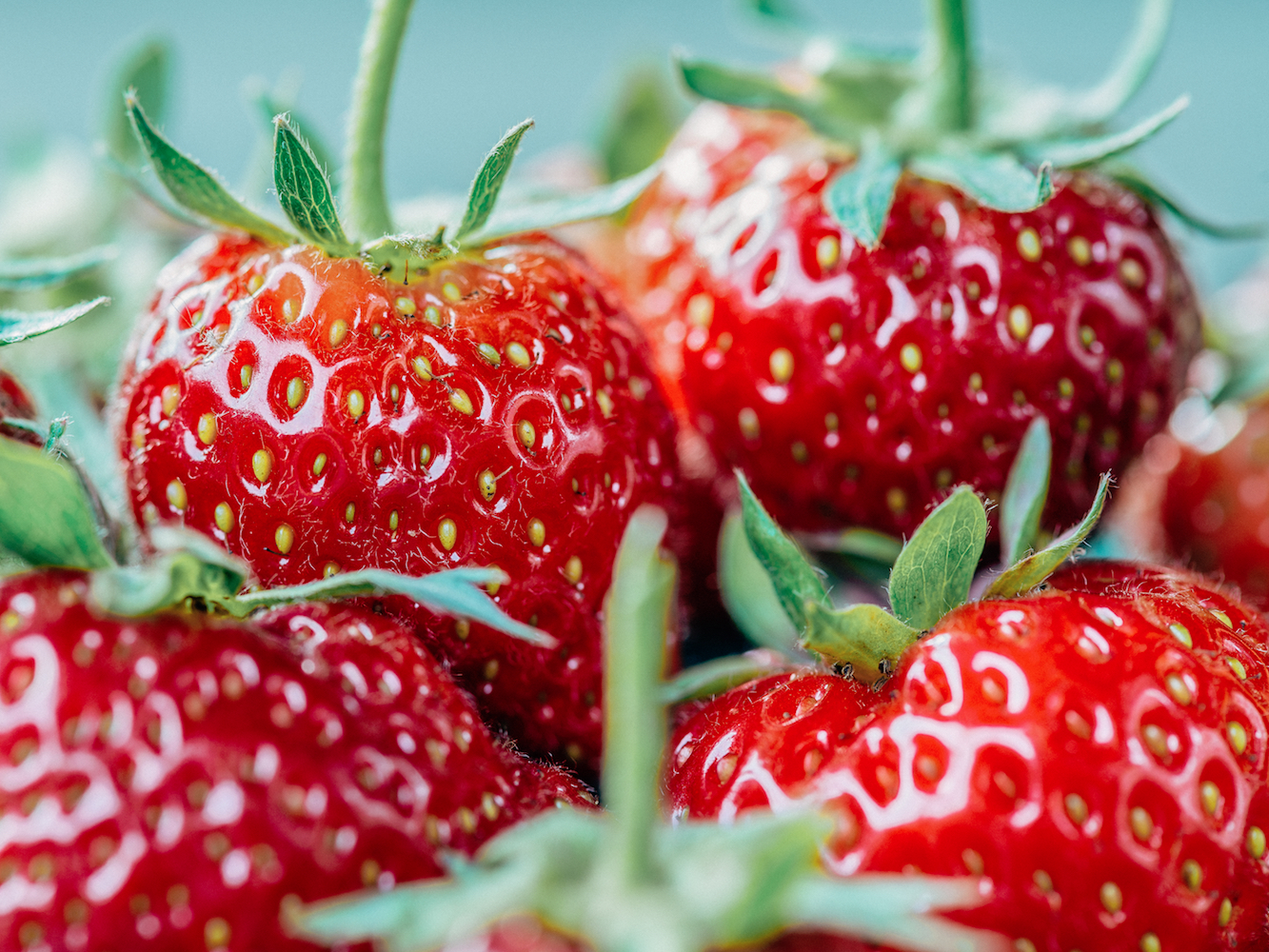 Low-Calorie Foods You Can Eat And Not Gain Weight