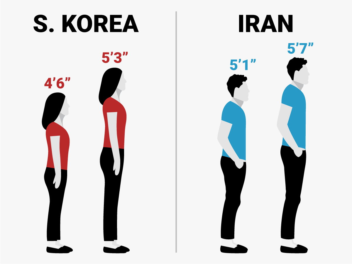 The Best 12 Human Height Chart Comparison