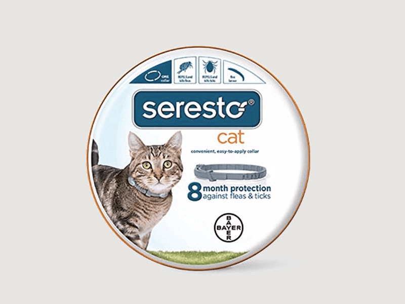 Cat Friendly Over The Counter Medications