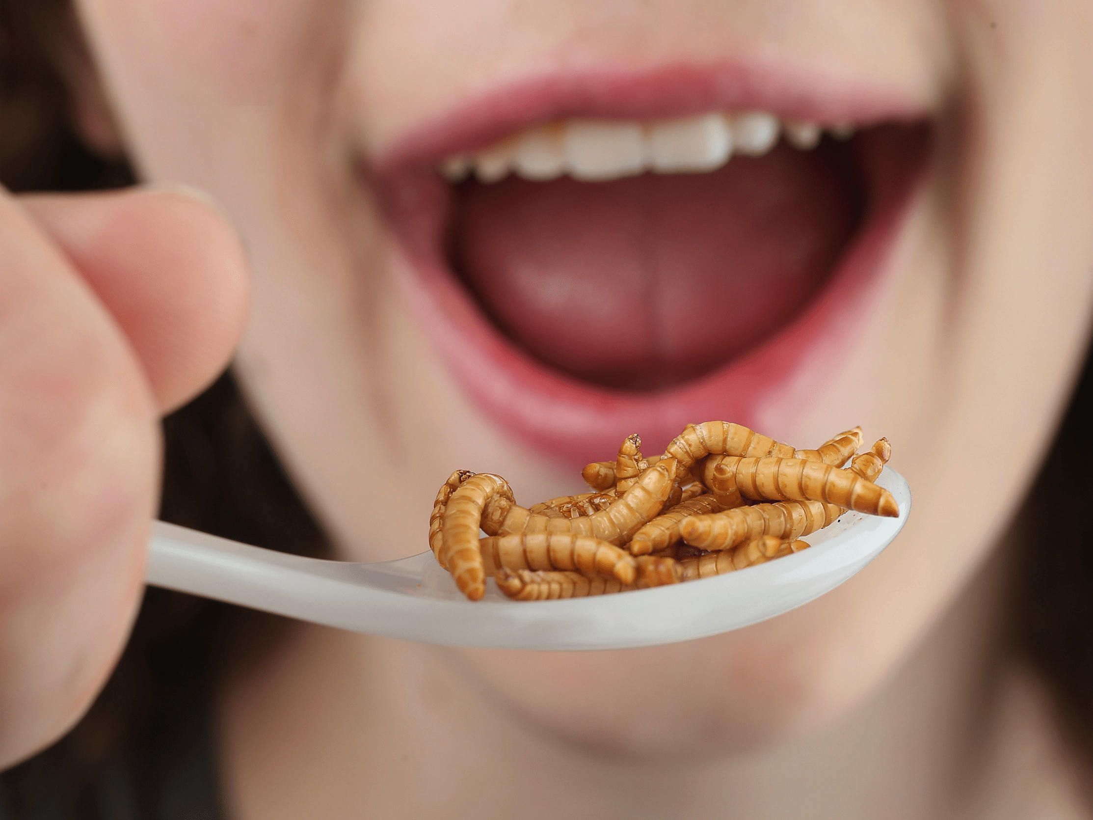 Everyday Foods Are Full of Insect Bits Business Insider