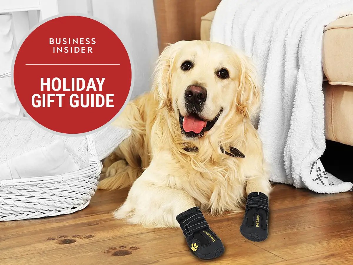 The Best Christmas Gifts for Dogs