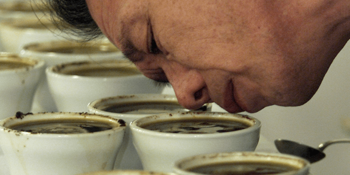 Best Water for Brewing Coffee Why Hard Tap Water Makes It Delicious