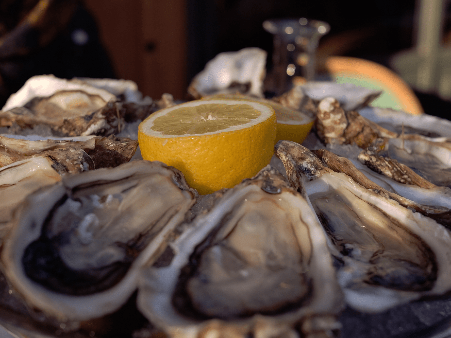 Florida Man Dies After Eating Oyster With Bacteria That Can Cause Flesh