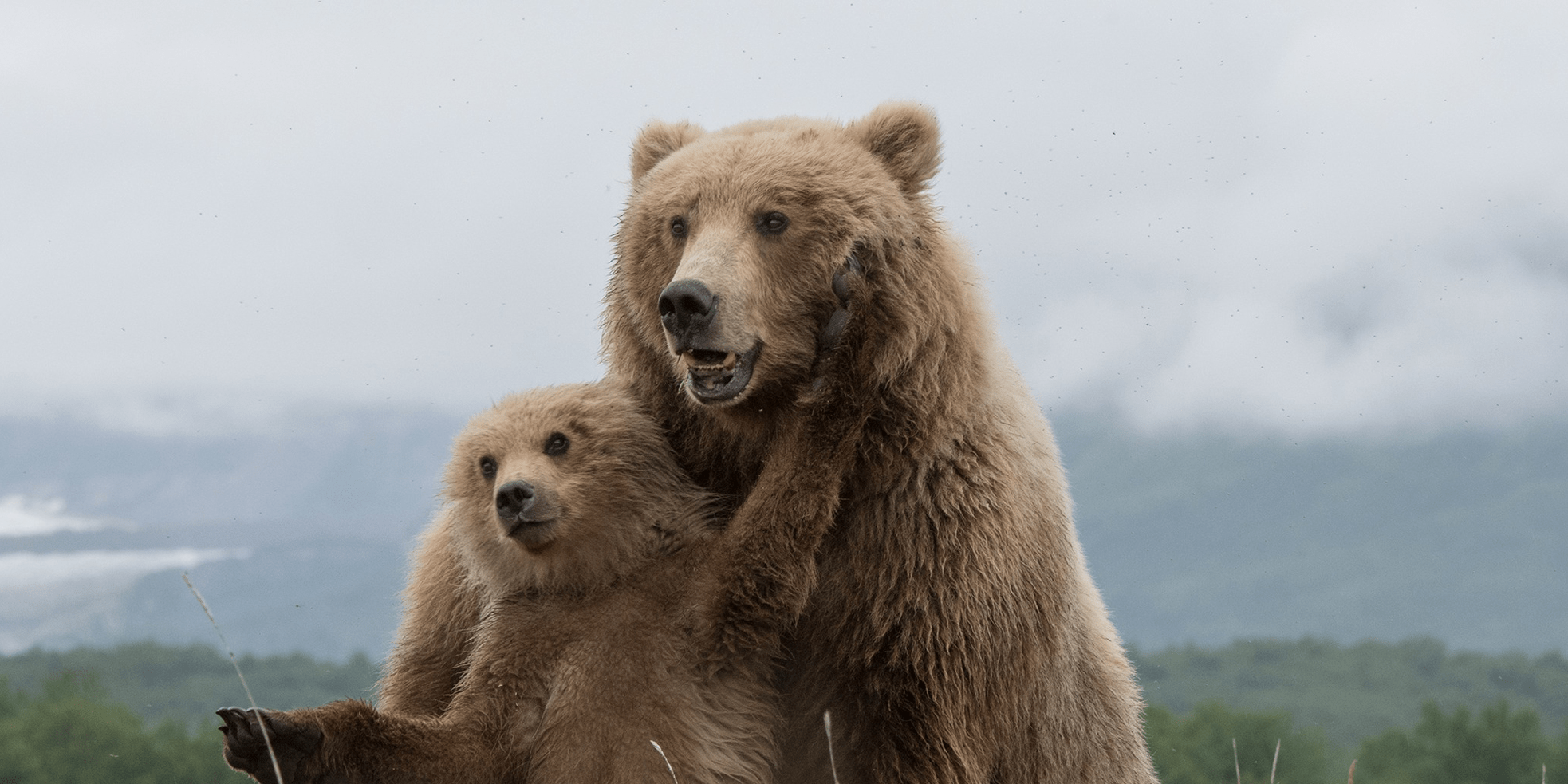 Highlights From the 2018 Edition of Albert Edwards' Legendary