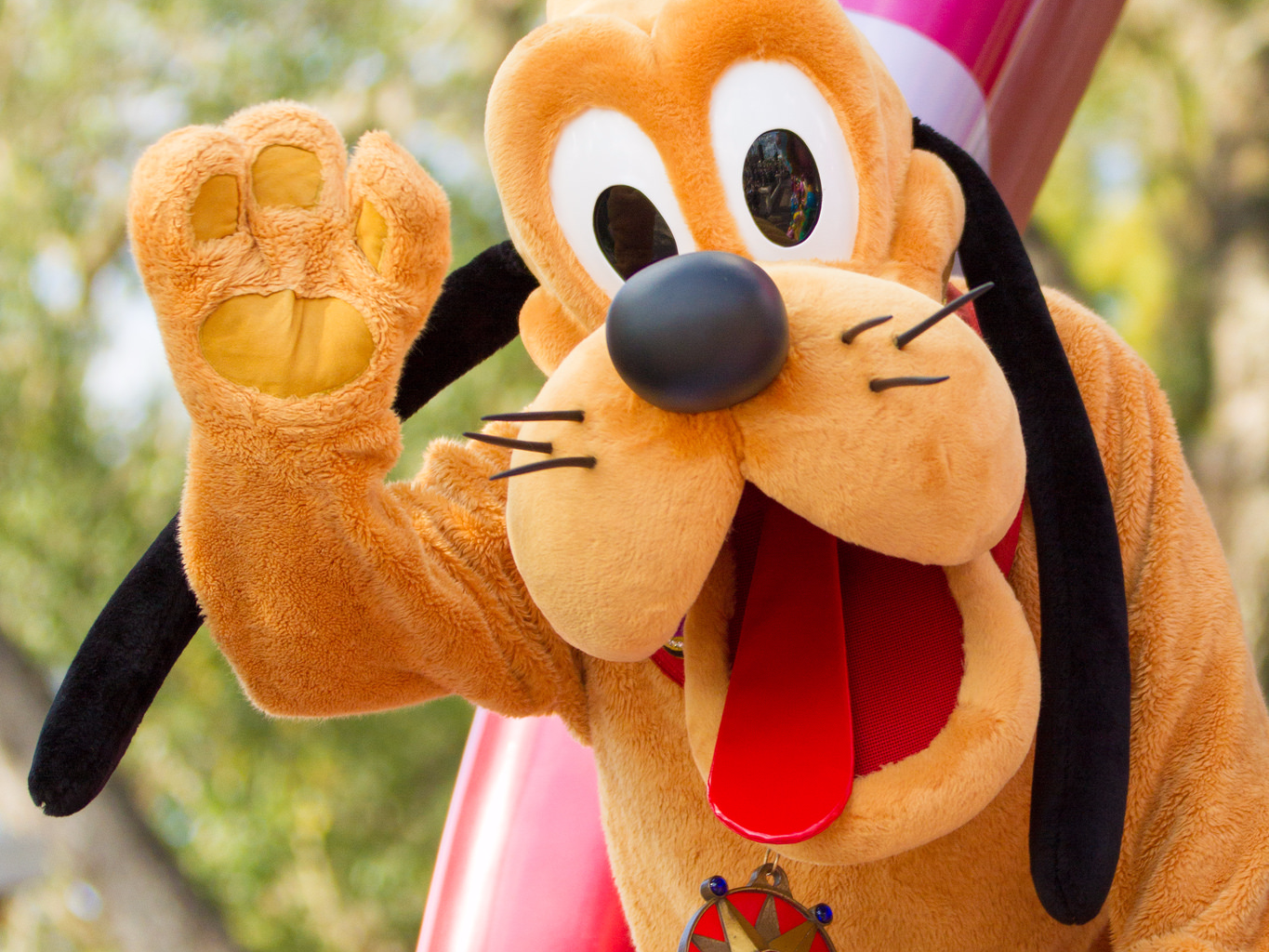Service Dog Meets RealLife Version of His Pluto Toy at Disney