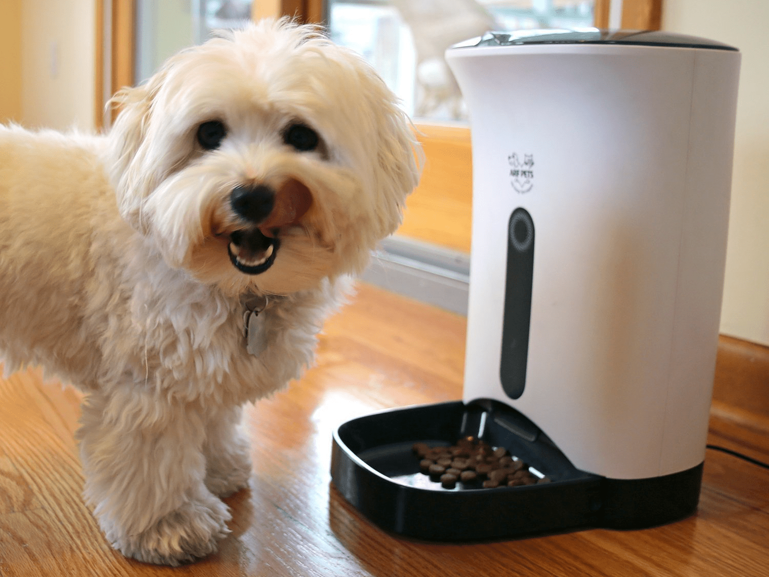 The 5 best dog gates of 2021 LaptrinhX / News