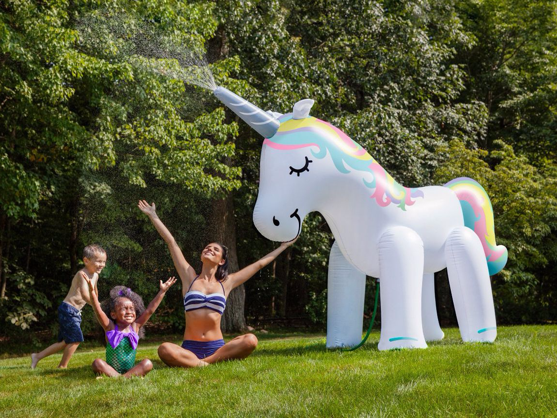 A Unicorn in a World of Donkeys: A Guide to Life for All the.