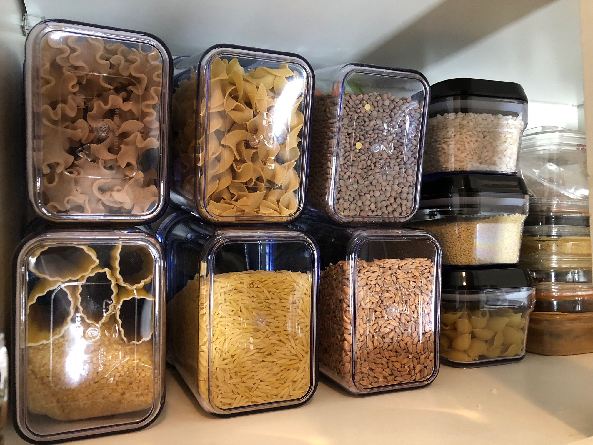food storage containers