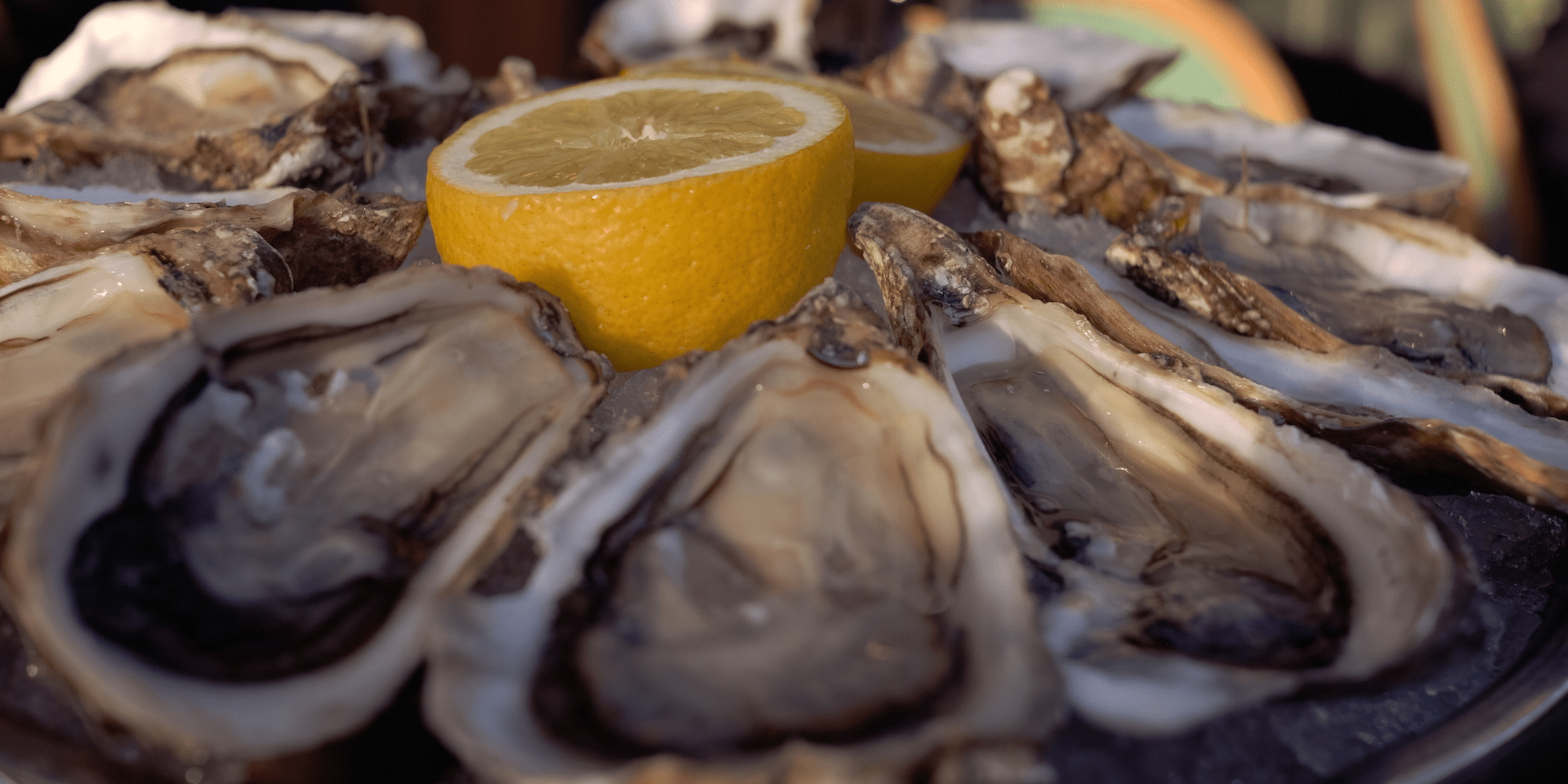 Florida Man Dies After Eating Oyster With Bacteria That Can Cause Flesh