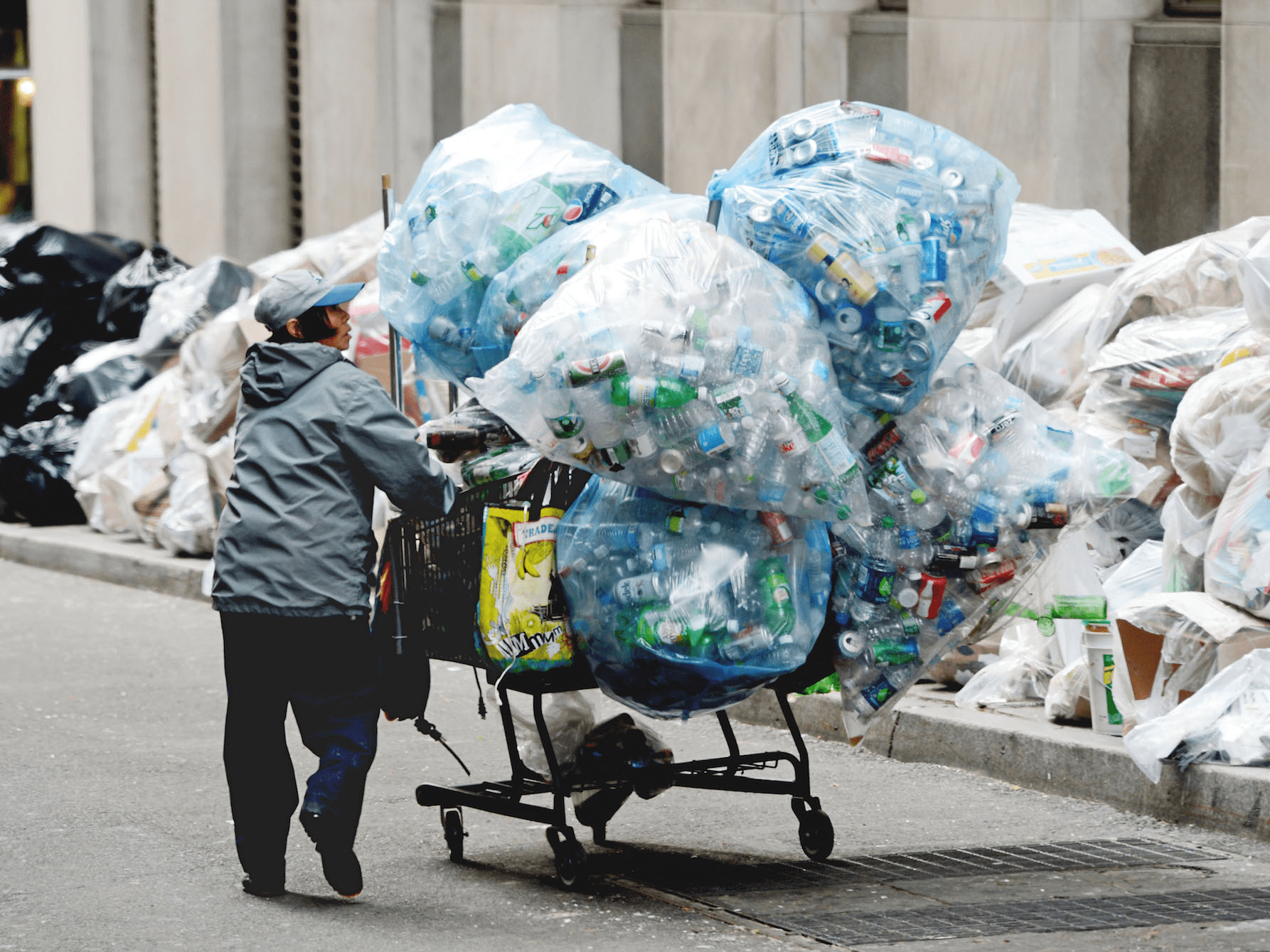 This New York City Millionaire Spends Her Days Collecting Cans Business Insider