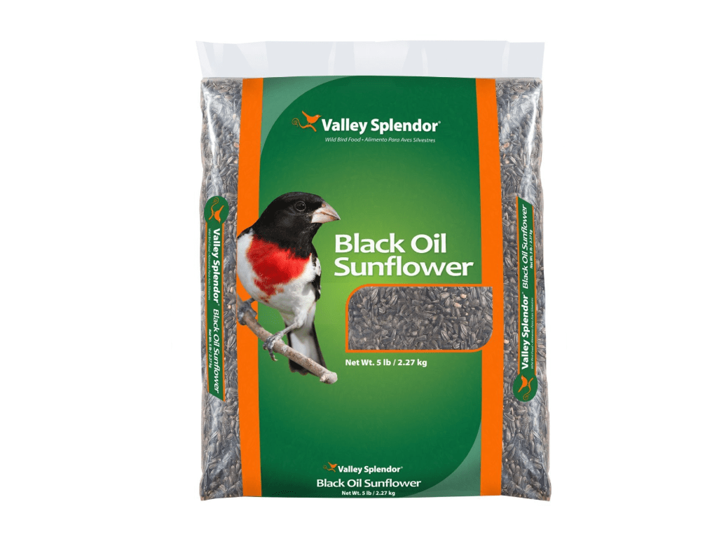 The 6 best wild bird seeds and food of 2021 [Silicon Alley Insider] LaptrinhX / News