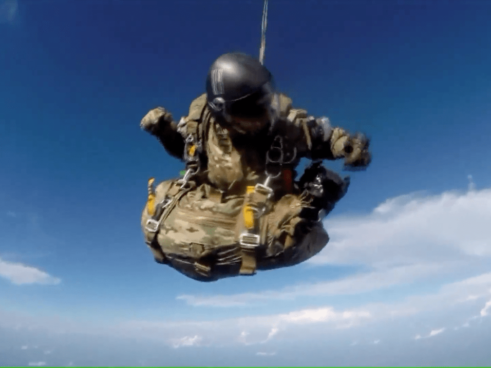 Meet Duke, the 75Pound Skydiving Dog From Tennessee Business Insider