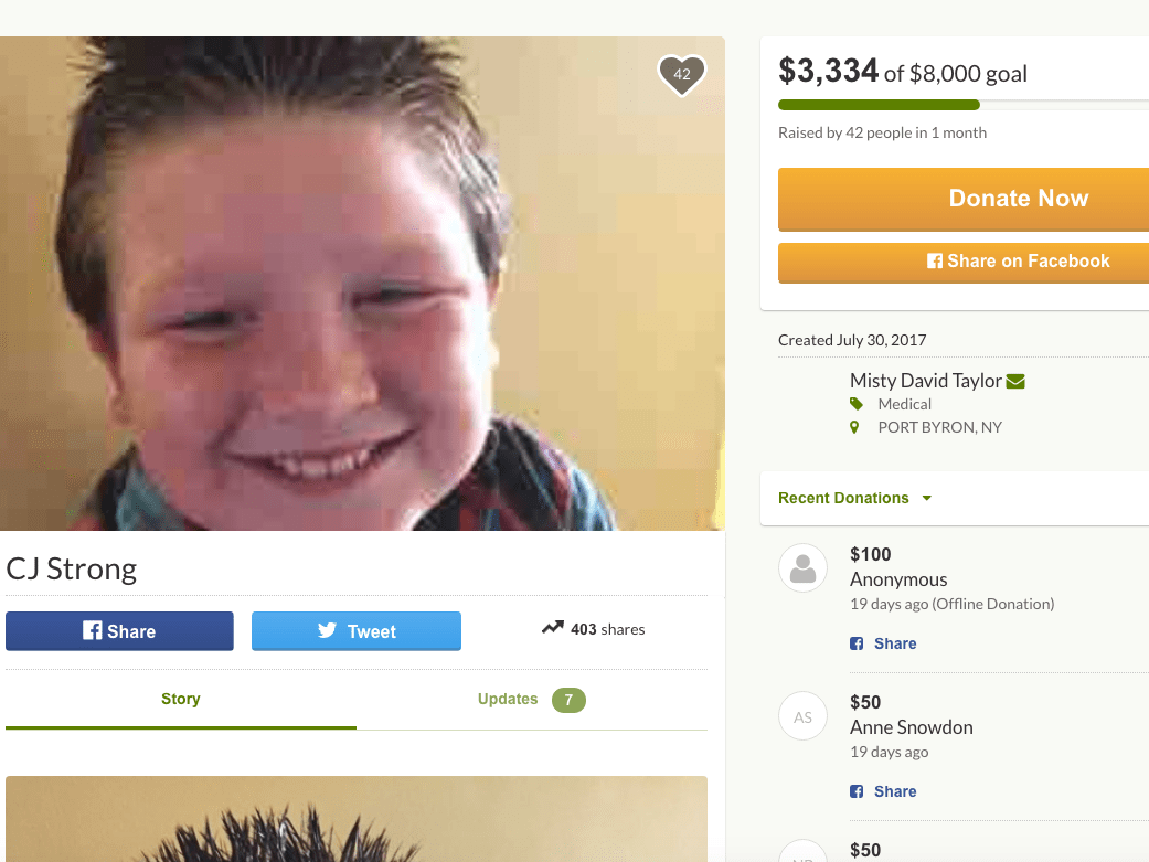 70以上 donation go fund me story examples 162146How to donate with gofundme