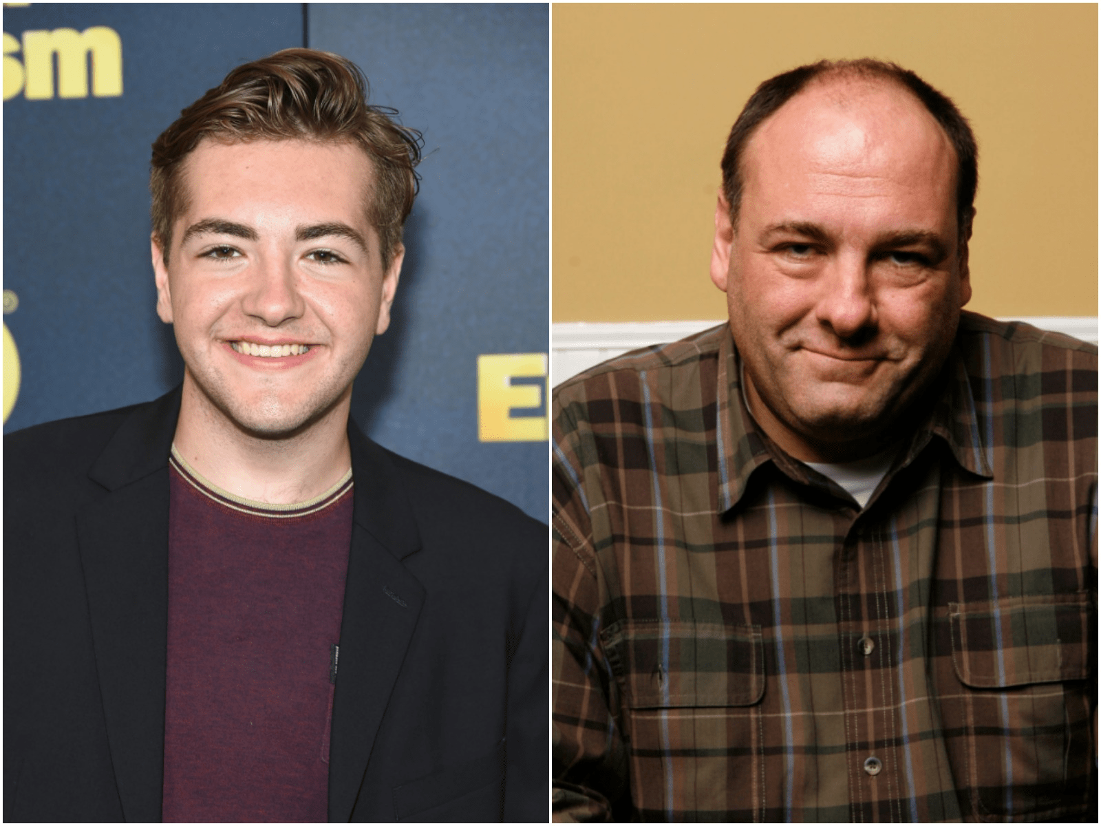 James Gandolfini's Son to Play Tony Soprano in 'the Sopranos' Film