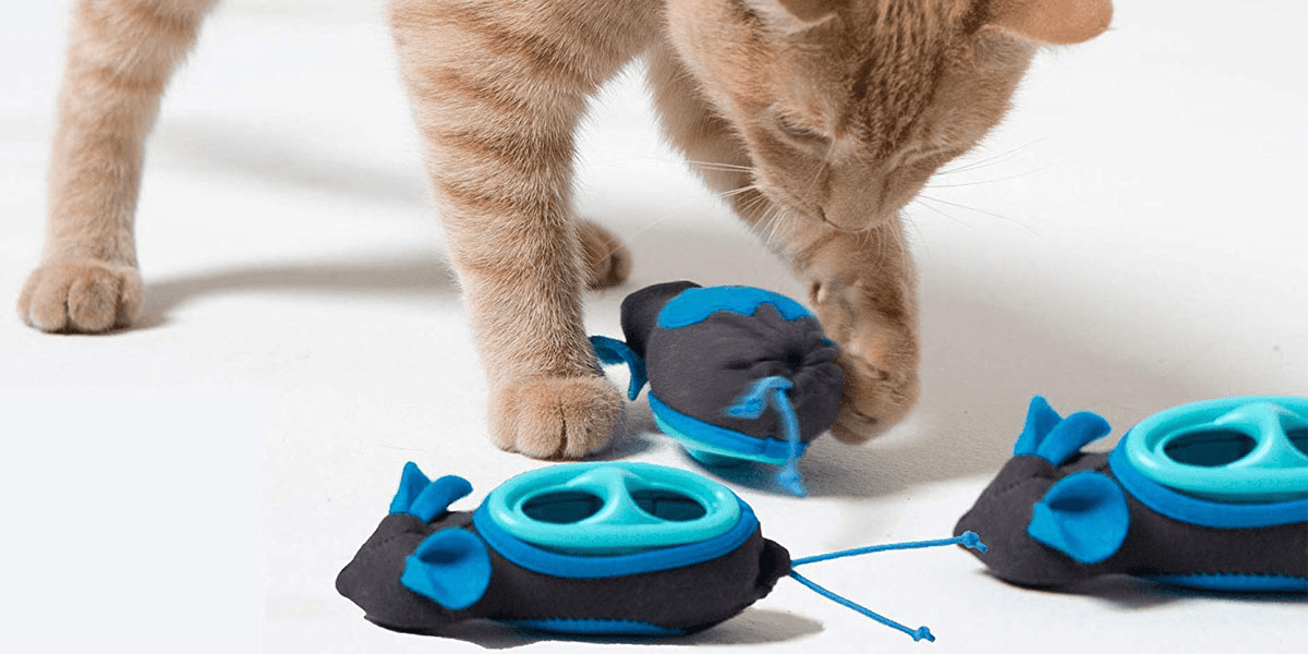 The best cat feeders to help your cat lose weight Business Insider