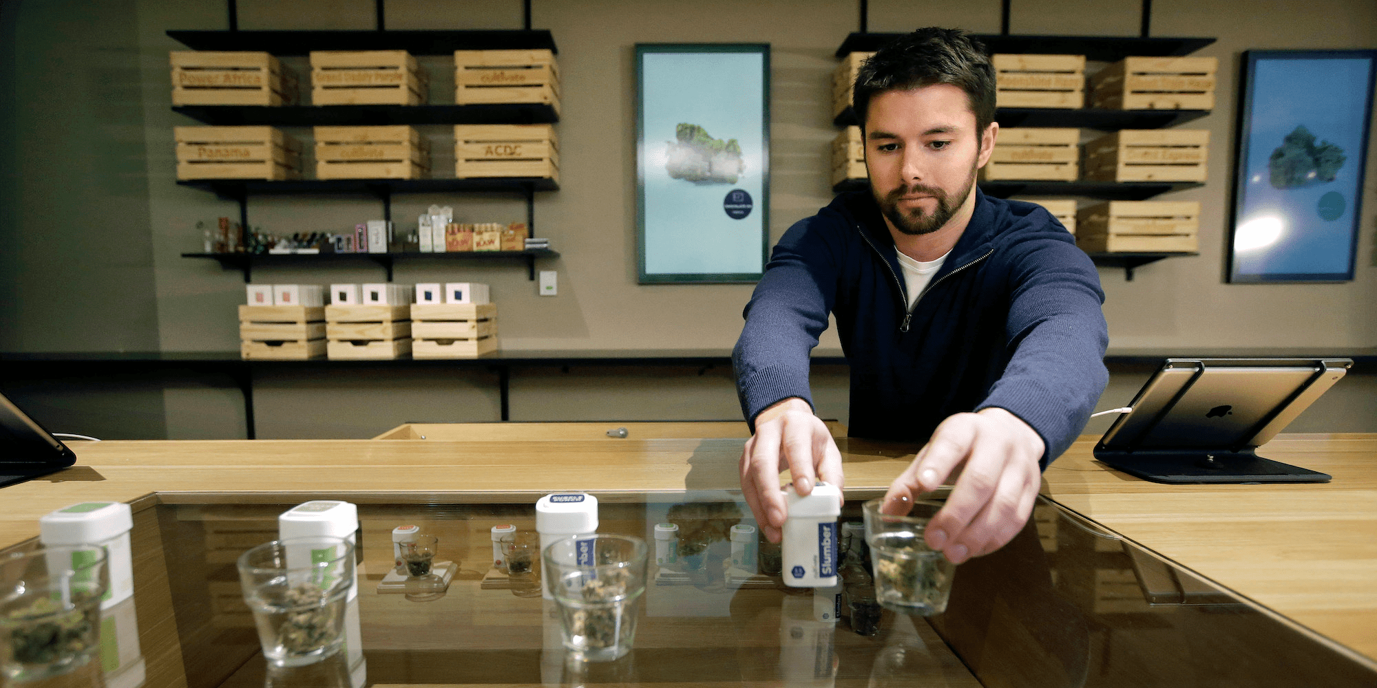 Where Marijuana VCs Are Looking to Write Checks This Year