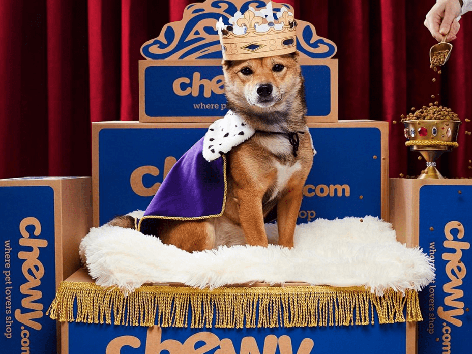 Chewy Pet Door The O Guide