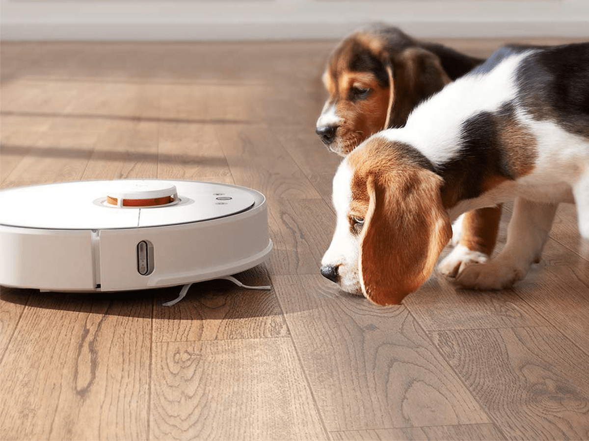Roborock S5 Robotic Vacuum and Mop Review Useful for Any Home
