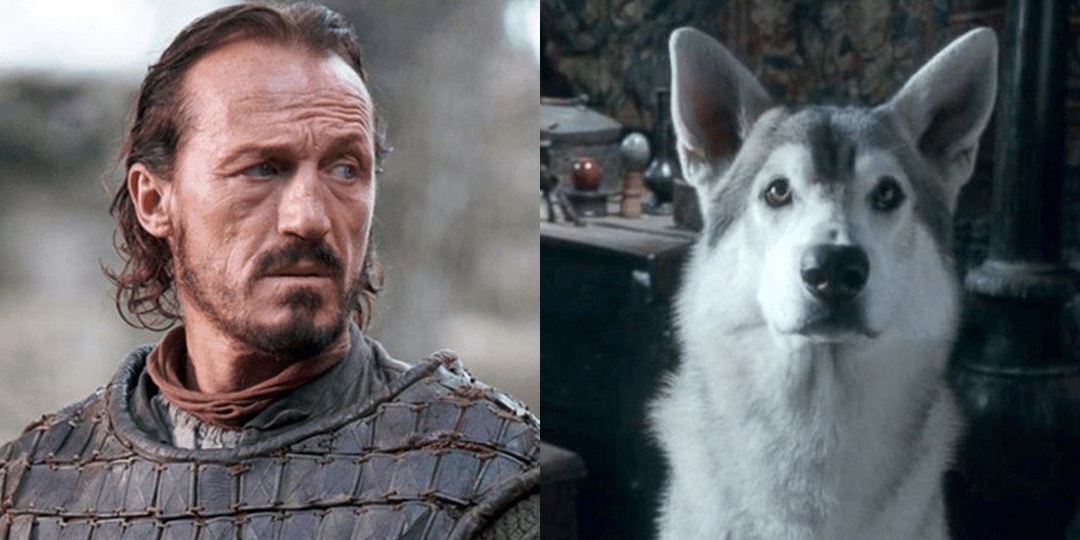 'Game of Thrones' Star Jerome Flynn Urges Fans to Stop Buying Direwolf