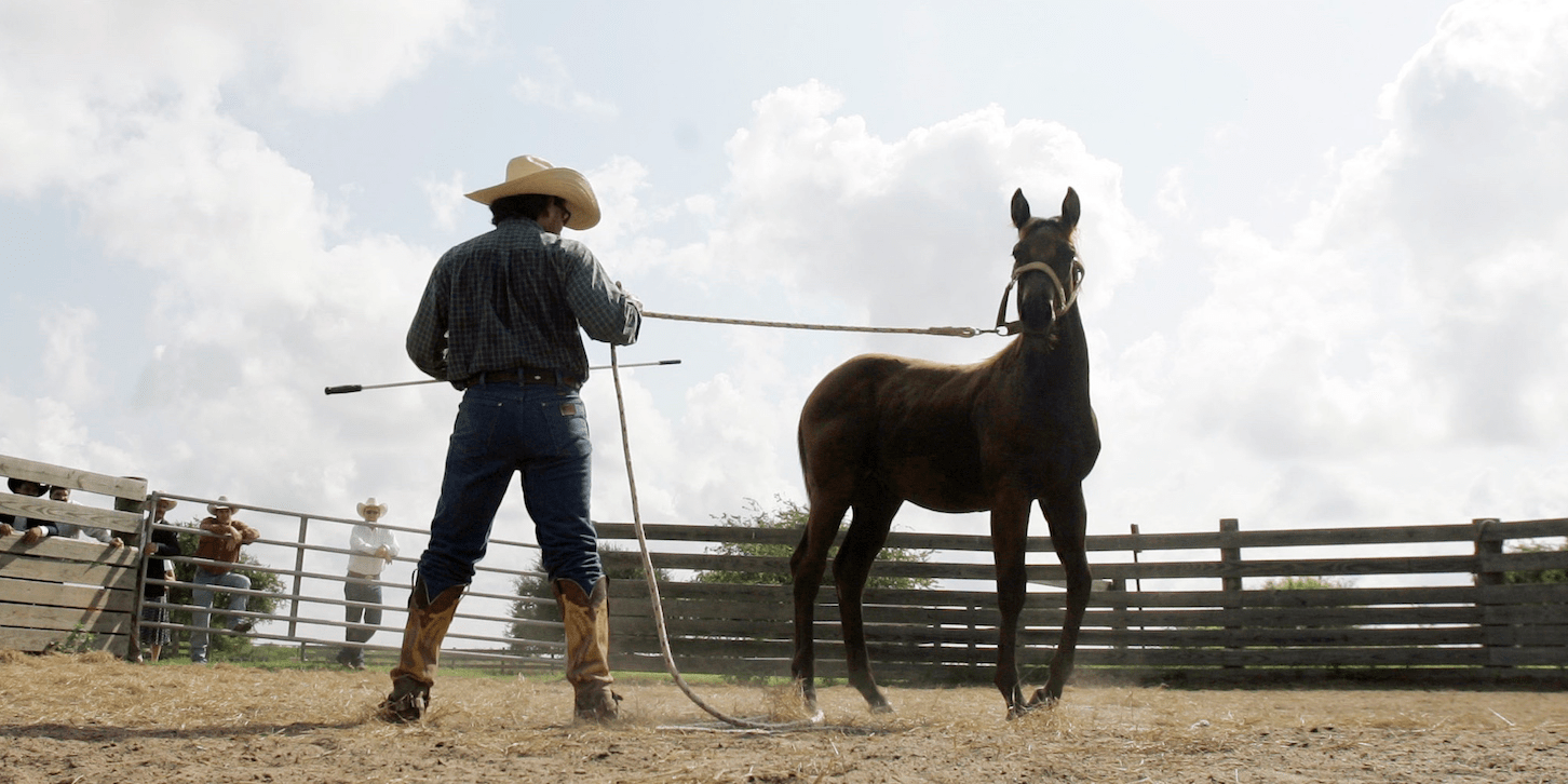 Over Half of the Biggest Landowners in the US Inherited Their Land