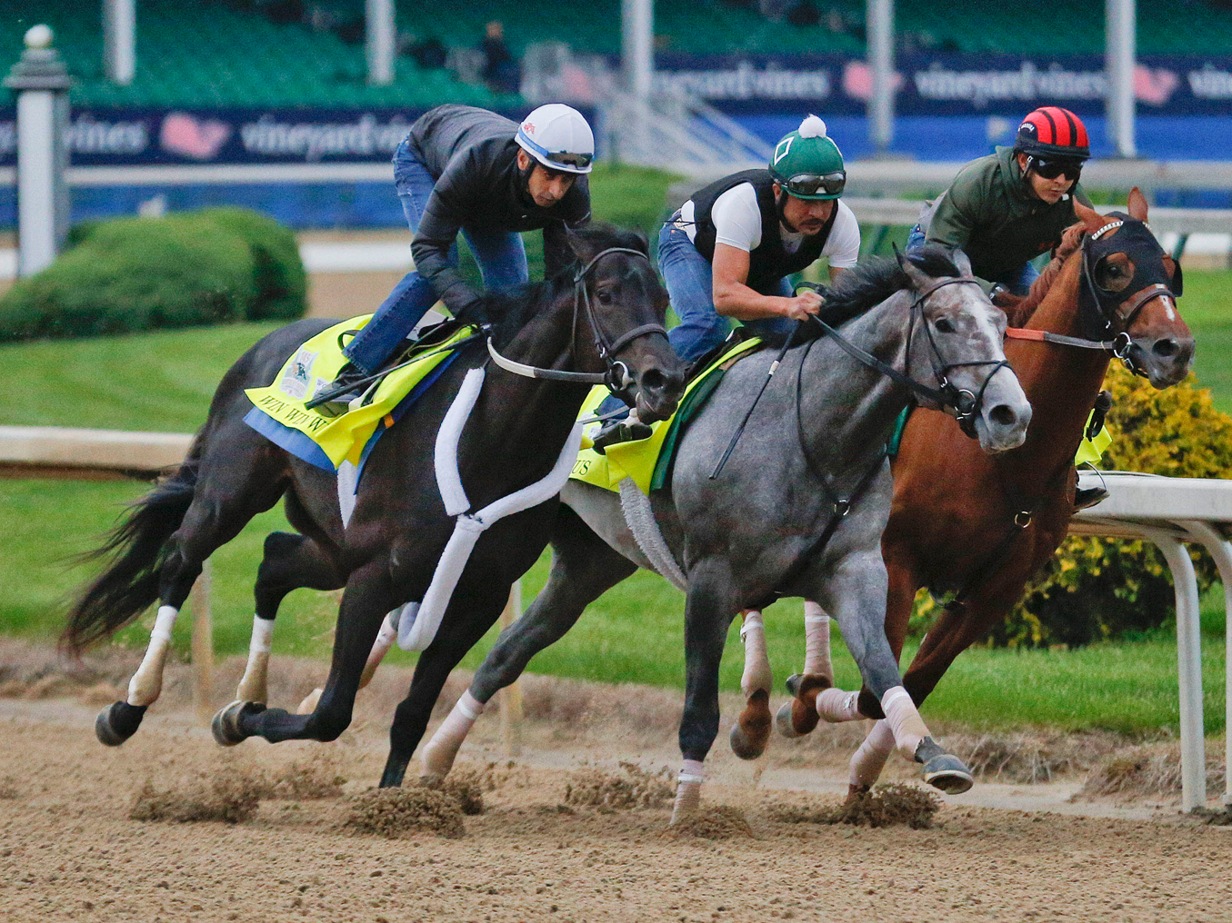 Kentucky Race Horses