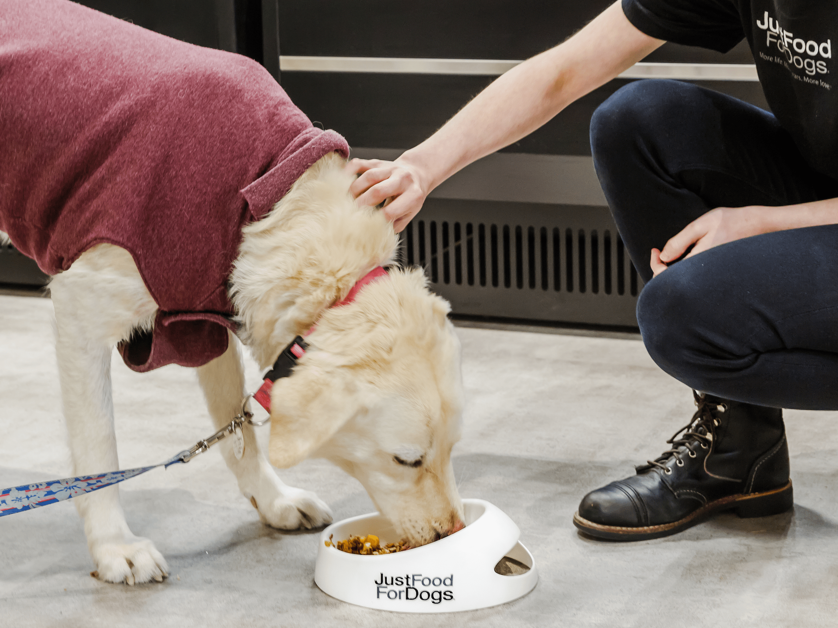 Petco Opens Upscale Kitchens for Dogs