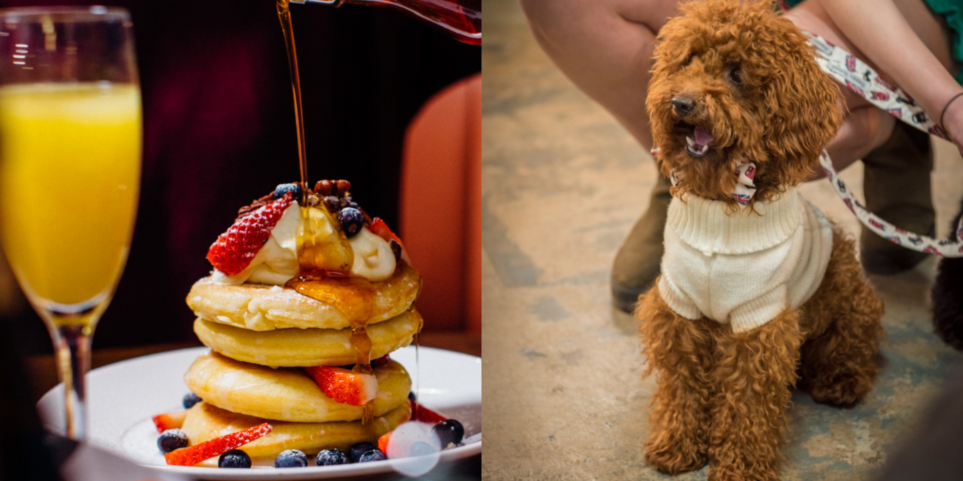London Bowling Alley Allows Dogs, Offers Bottomless Brunch From 33