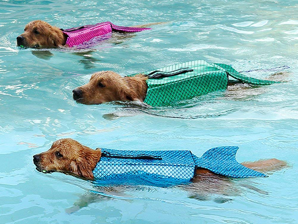 Mermaid Dog Life Jackets Your Dog Will Love! PupTraveller atelier
