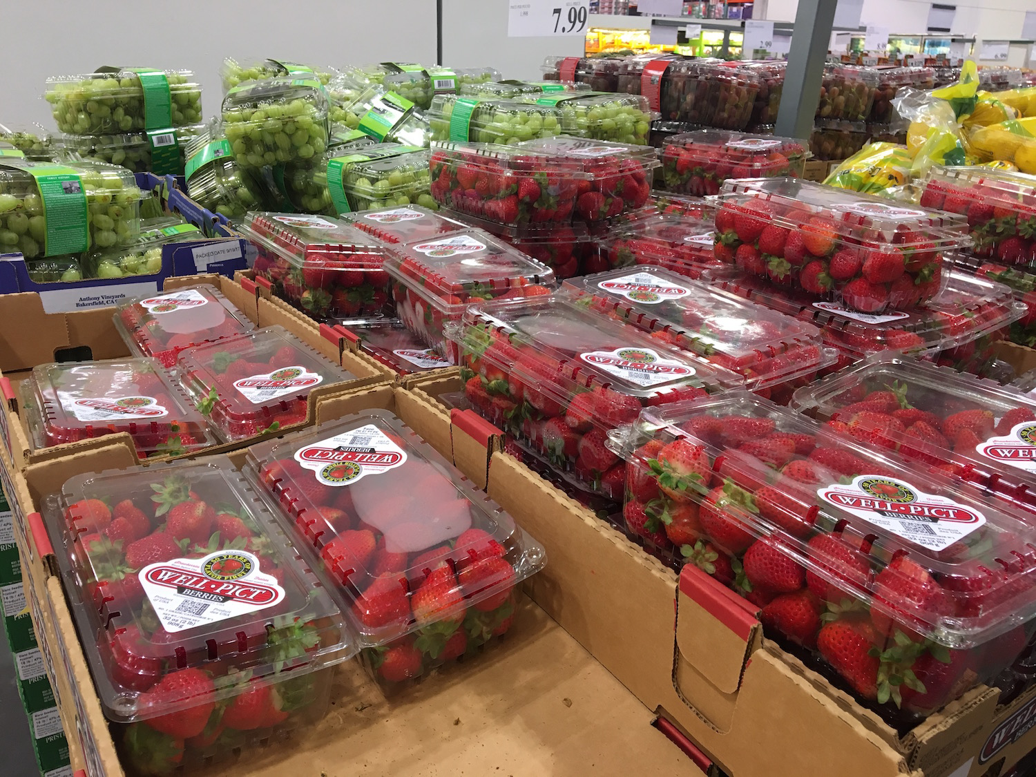 The Best Costco Treats You Have to Try This Summer Business Insider