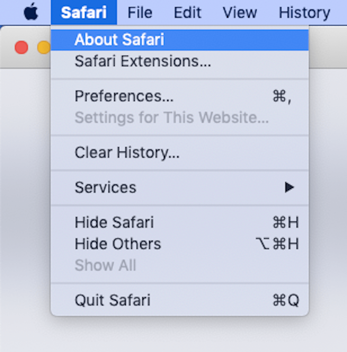 Adobe flash player safari download terrafad