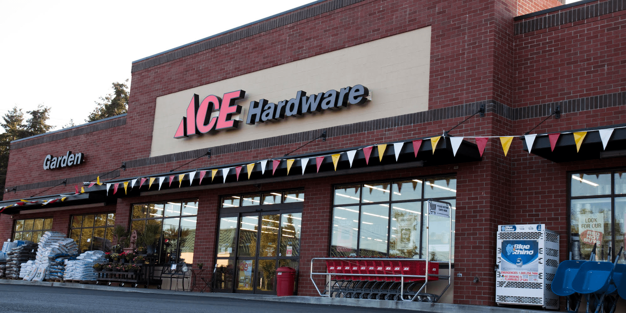 Ace Hardware CEO on Why His Stores Different From Home Depot, Lowe's