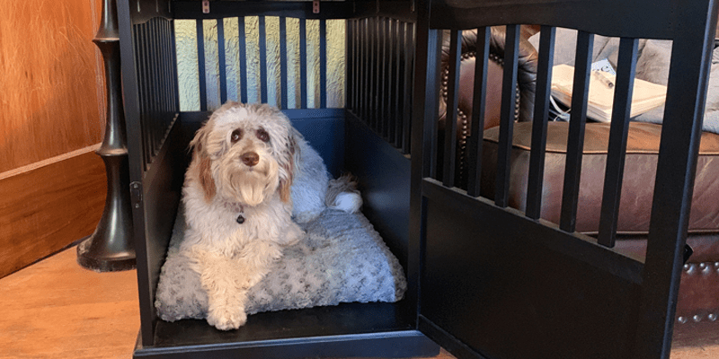 #2 casual home wooden pet crate. casual home wooden dog crate review