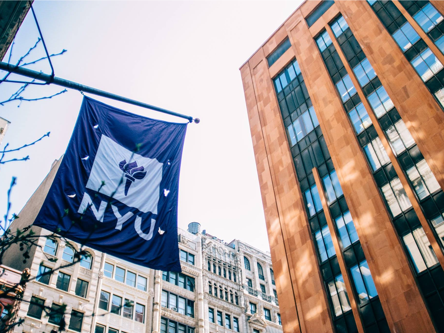 Here’s How to Ace New York University's College Admissions Essay