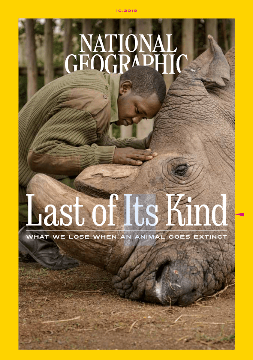 Adult National Geographic Learning NGL ELT
