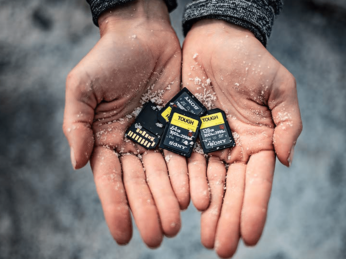 The best SD cards in 2021 stips
