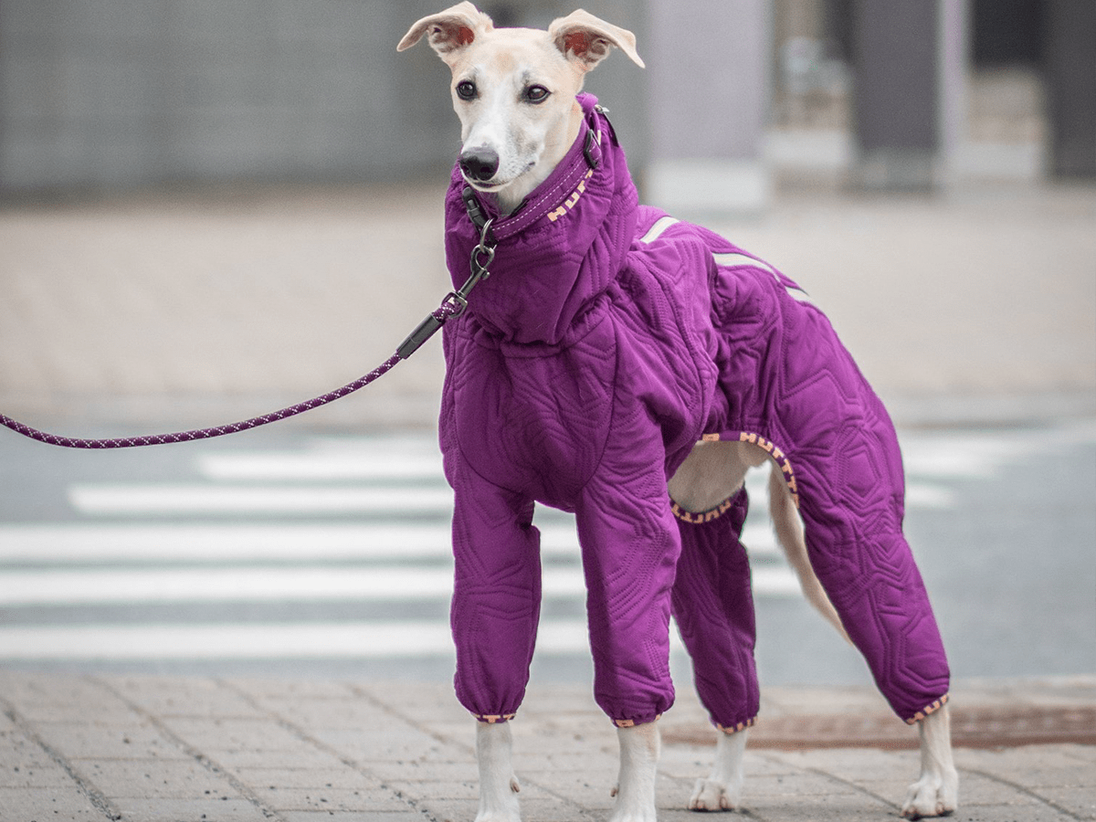 Dog Coats With Legs Pets At Home Anna Blog