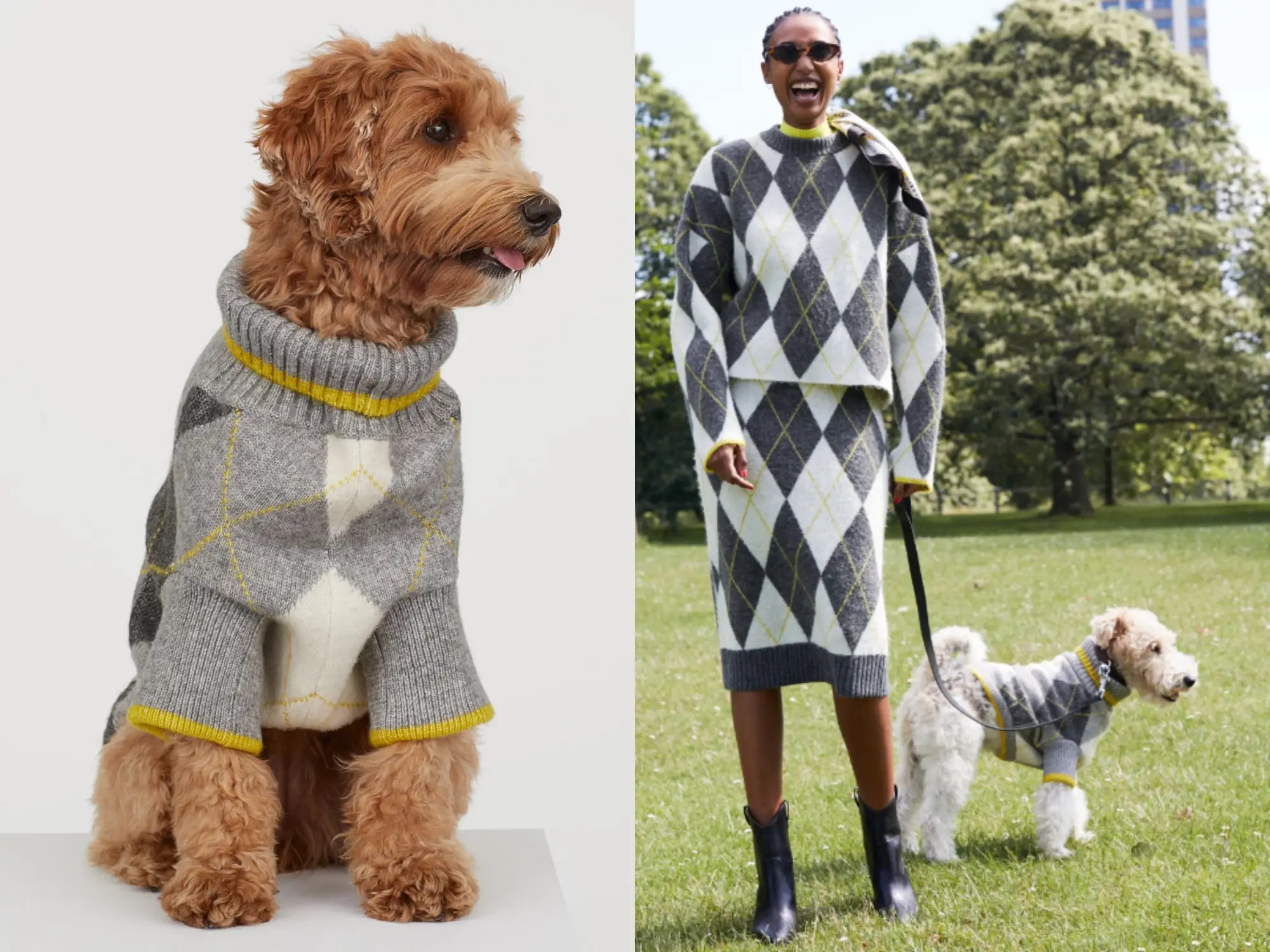 H&M Launches Matching Human and Dog Sweaters in Pringle Collaboration