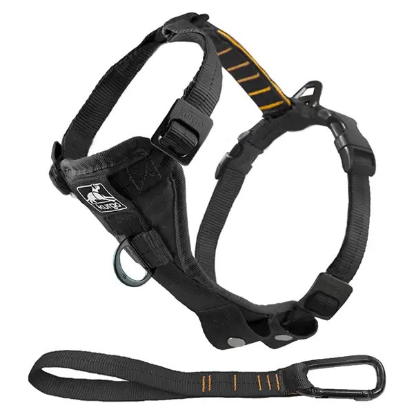 Best Dog Harnesses in 2021, According to Experts