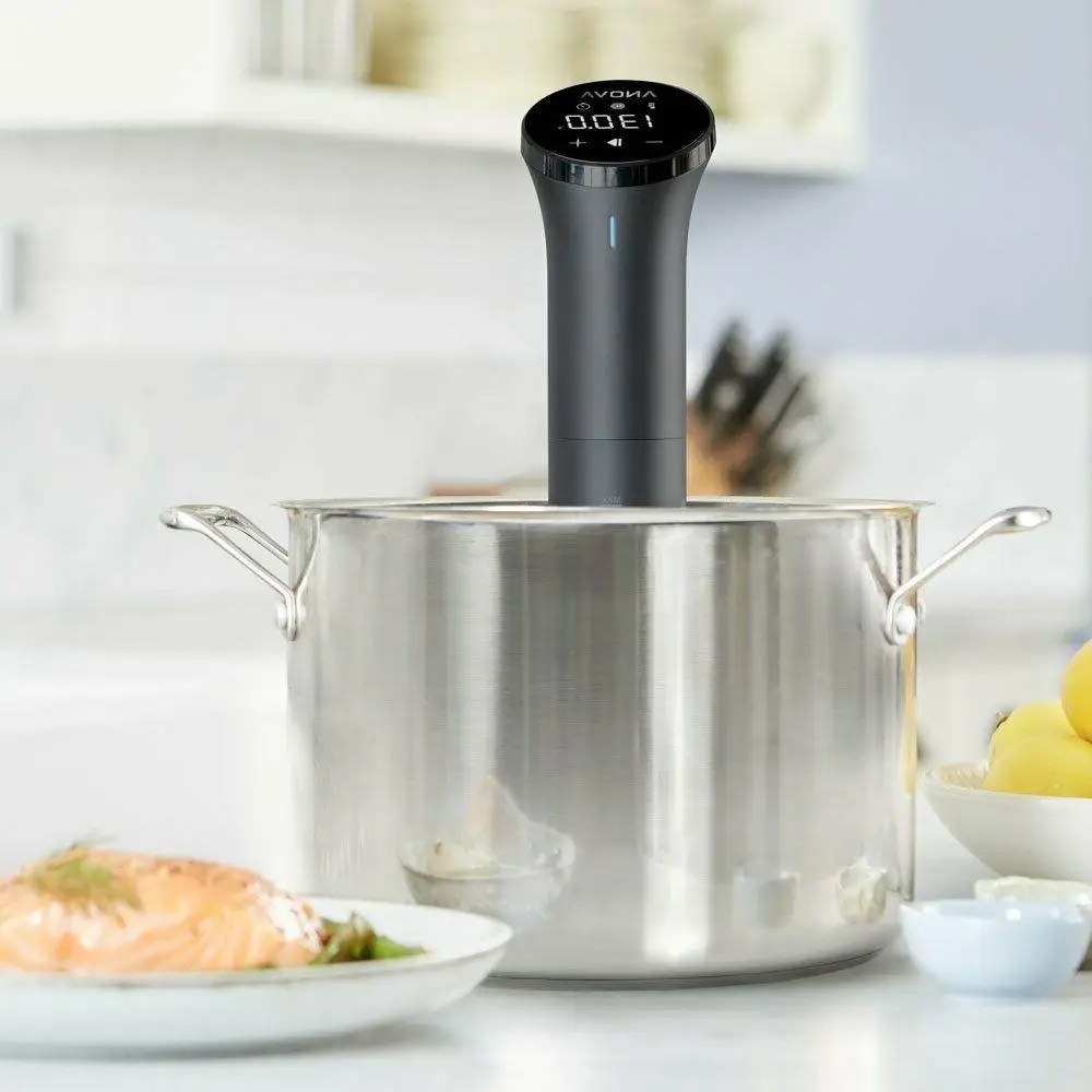 Best Sous Vide Machines in 2021