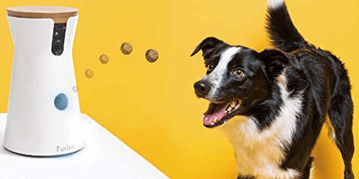 Furbo Dog Camera Cyber Monday Deal Save 115 at Amazon